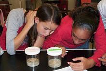 Children learning about termites